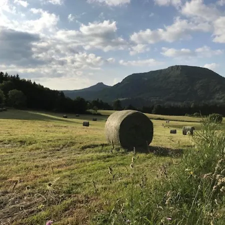 شقة Grand T3 Au Mont-dore Avec Terrasse Et Parking - Fr-1-608-177