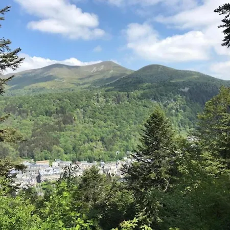 شقة Grand T3 Au Mont-dore Avec Terrasse Et Parking - Fr-1-608-177