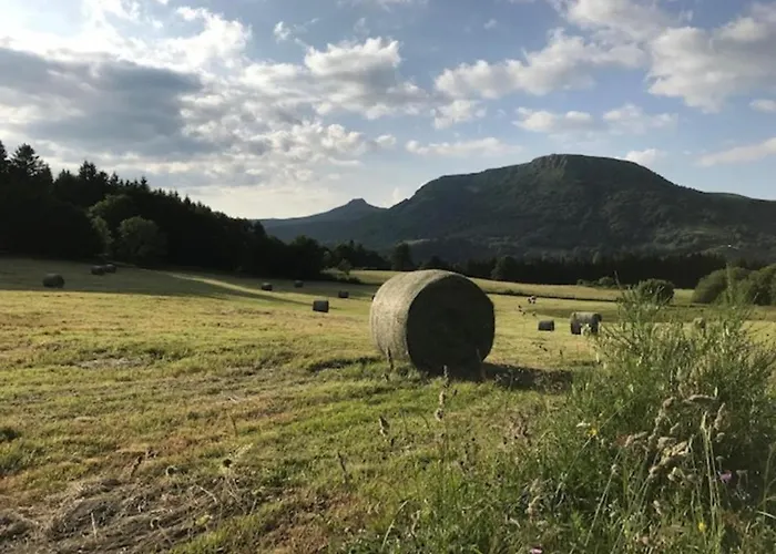 Apartamento Grand T3 Au Mont-dore Avec Terrasse Et Parking - Fr-1-608-177