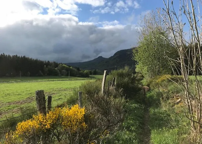 Apartamento Grand T3 Au Mont-dore Avec Terrasse Et Parking - Fr-1-608-177 Mont-Dore