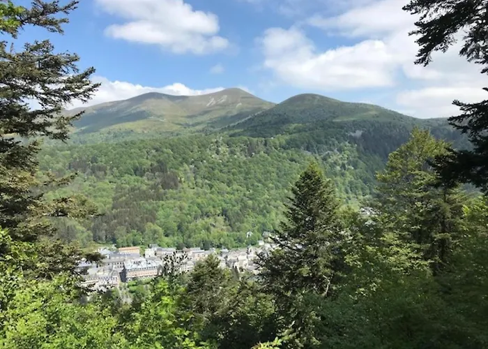 Apartamento Grand T3 Au Mont-dore Avec Terrasse Et Parking - Fr-1-608-177